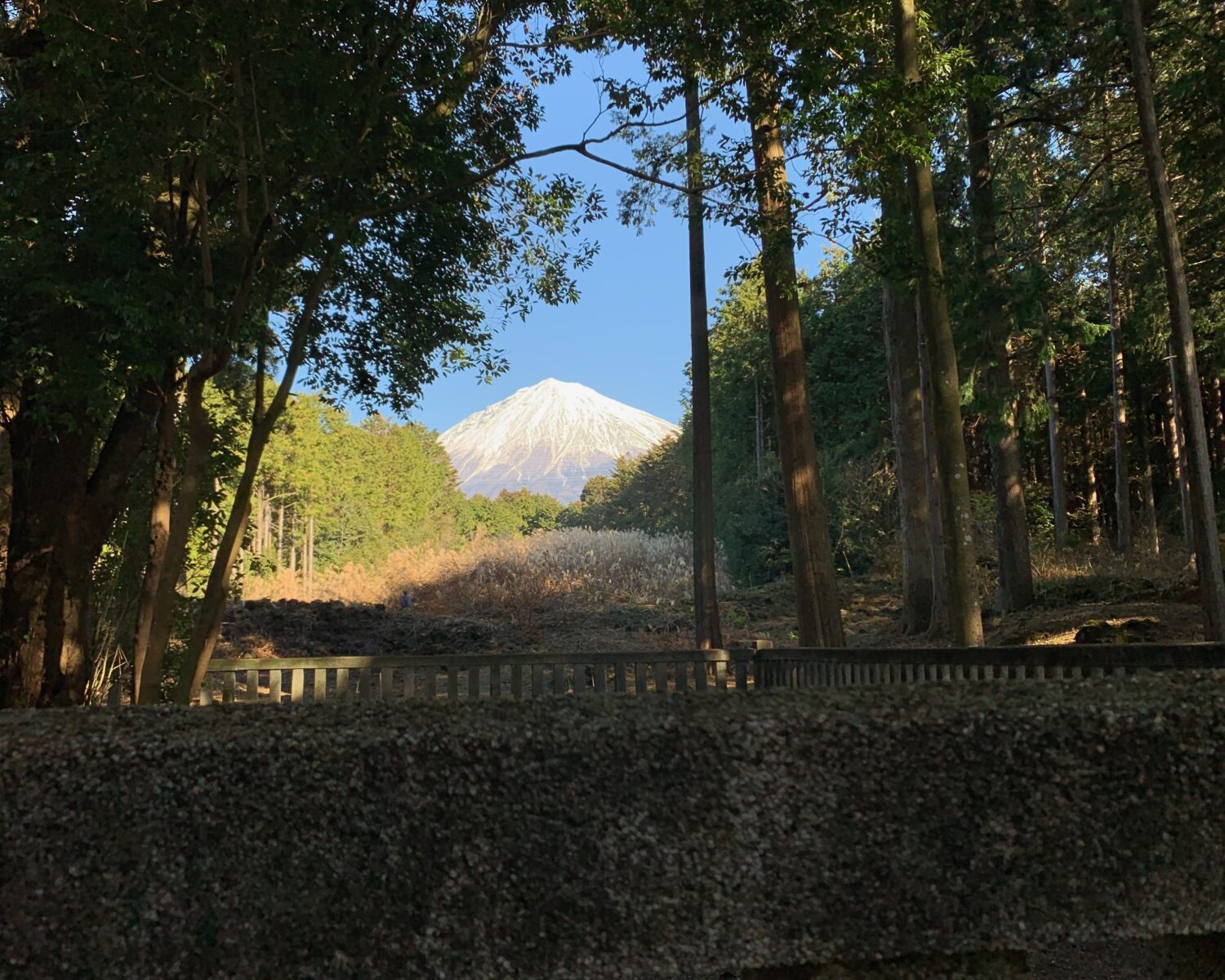 山宮浅間神社１３