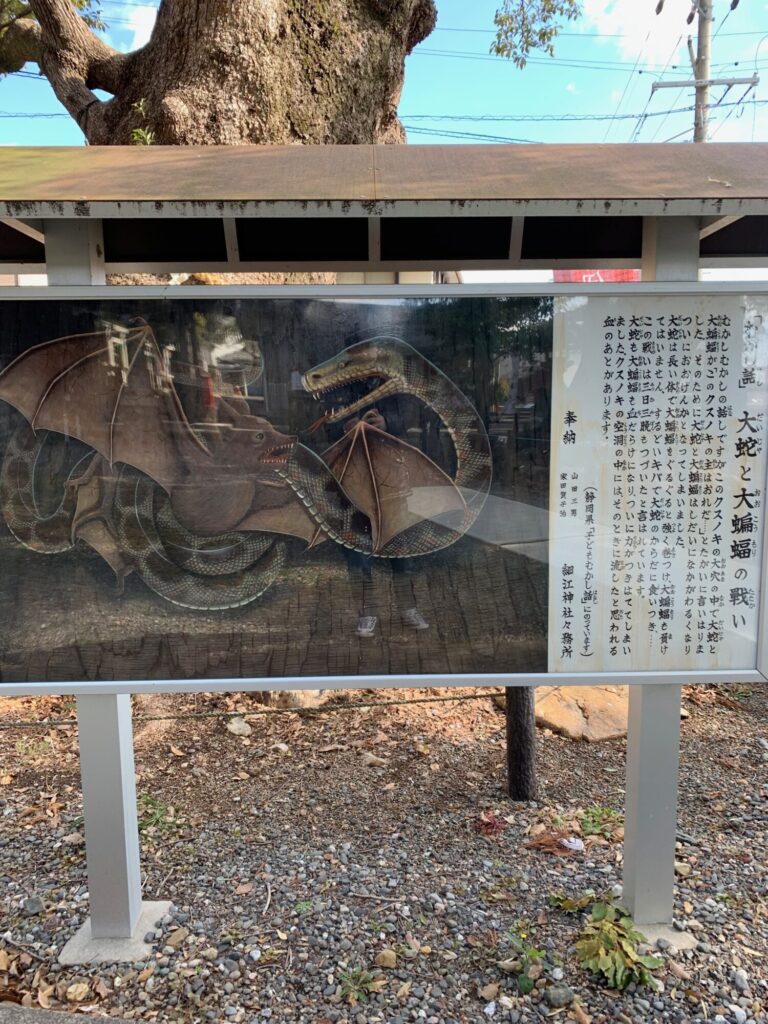 細江神社８