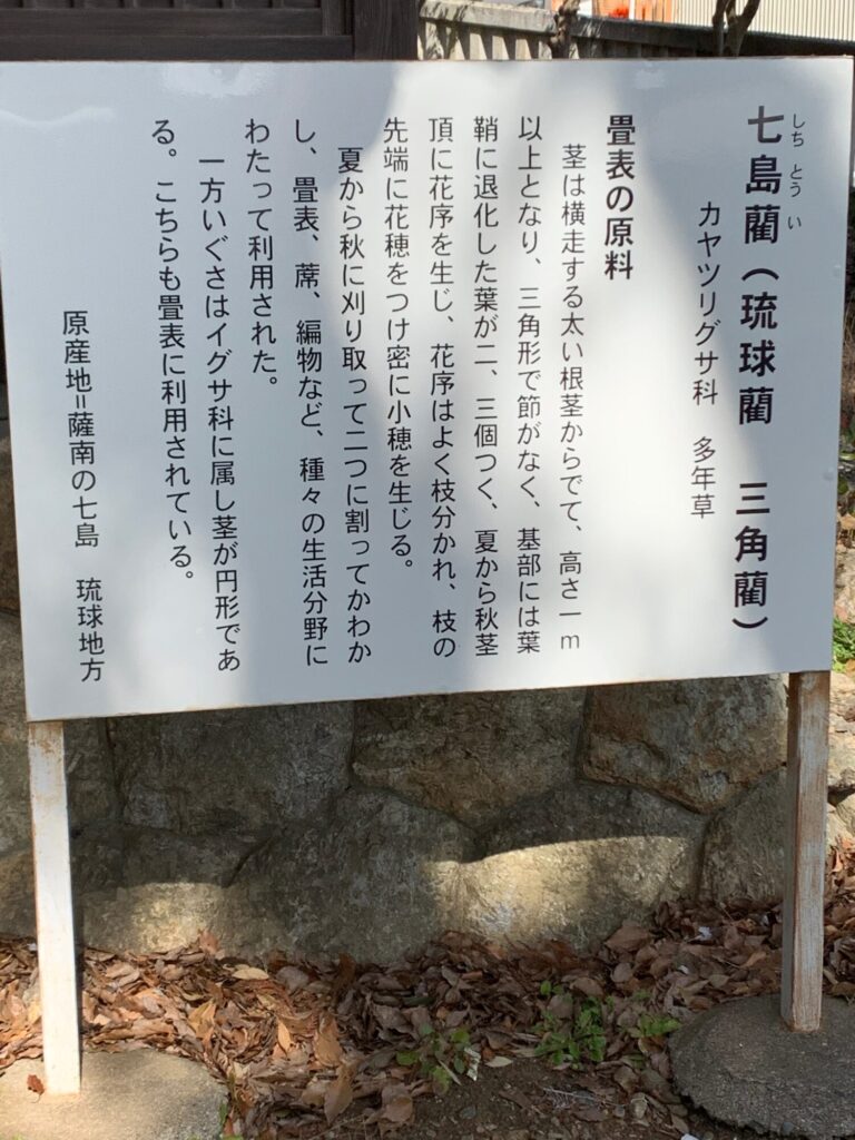 細江神社１３